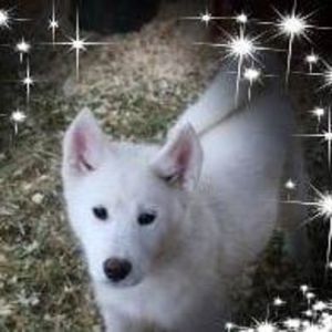 Meet your Posher, Alicia